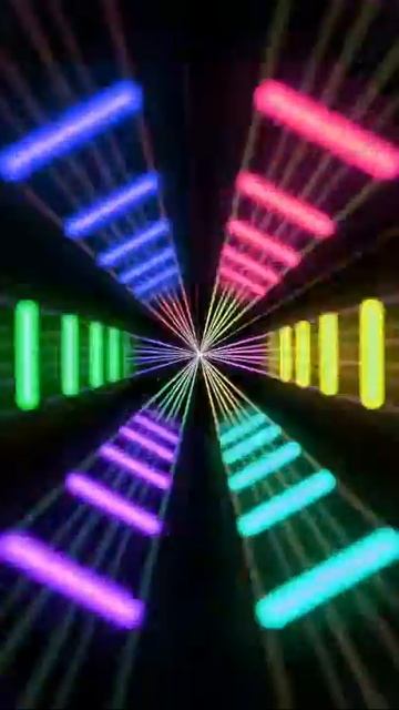 Disco