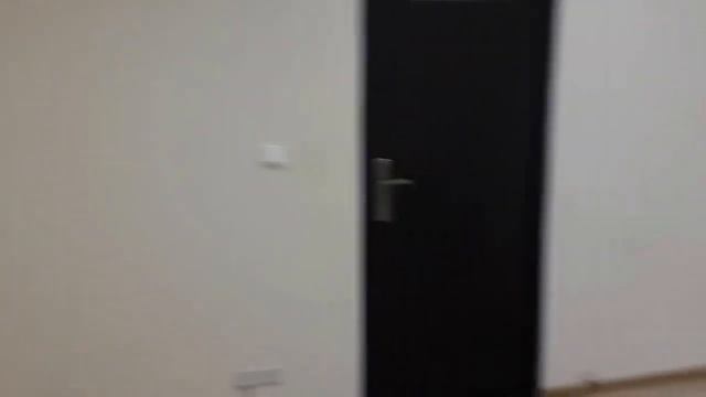 Офис №241 по адресу СПб, ул. Мира д. 3. Площадь 85метров