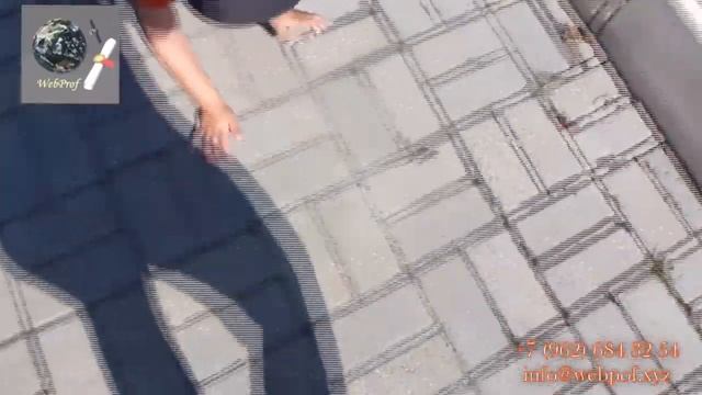 Ловец ящериц.