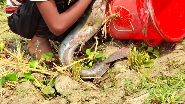 Really amazing hole fishing video - Catching catfish in river side secret hole - fishing family