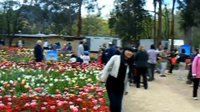 Images of Natwash - AUSTRALIA..... Floriade 2009 - Canberra ACT Australia