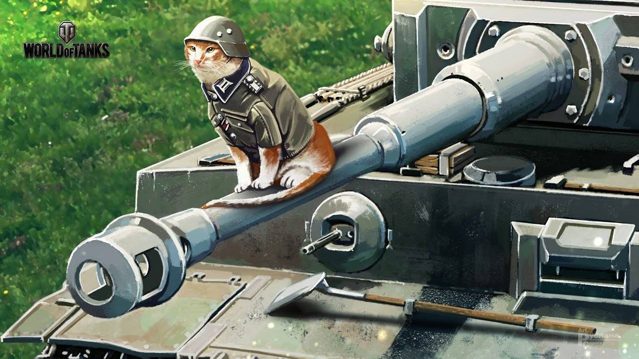 проходим дорс