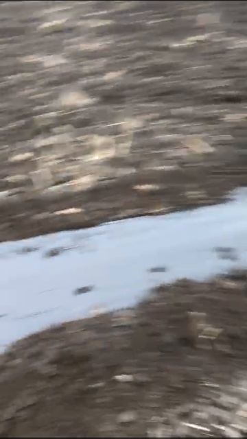 Пленкоукладчик для мотоблока от компании ГАСПАР АГРО