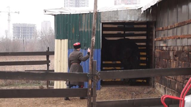 Мужчины бесятся