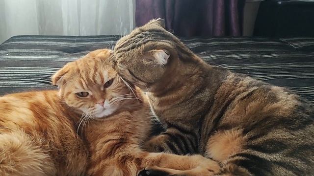 Ля мур мур-мур🥰