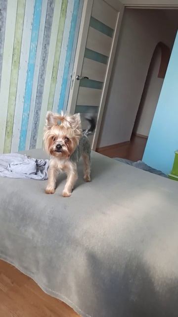 Ну что ты меня снимаешь,дай пожрать