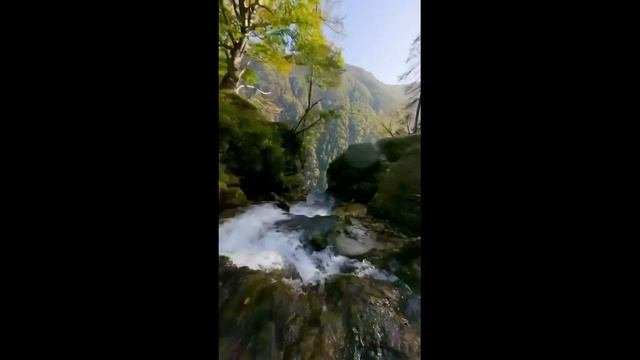 Любовь
