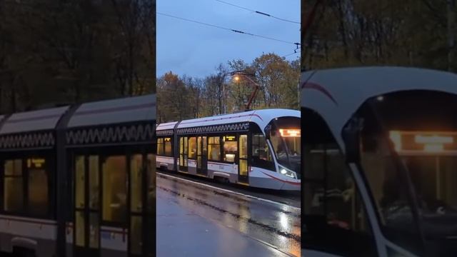 Трамвай жизни