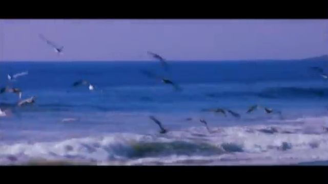 🇦🇲 Арам Асатрян - Я тебя люблю / Արամ Ասատրյան - Ես սիրում եմ քեզ 🎵❤️🌹