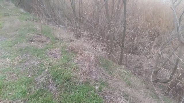 Пес (1-3 сезон) смотреть VID_20250215_151146