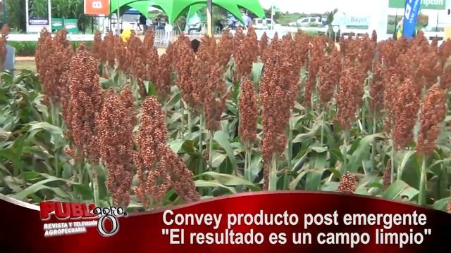 INTERAGRO EN EXPOSOYA 2022 - PREEMERGENTES