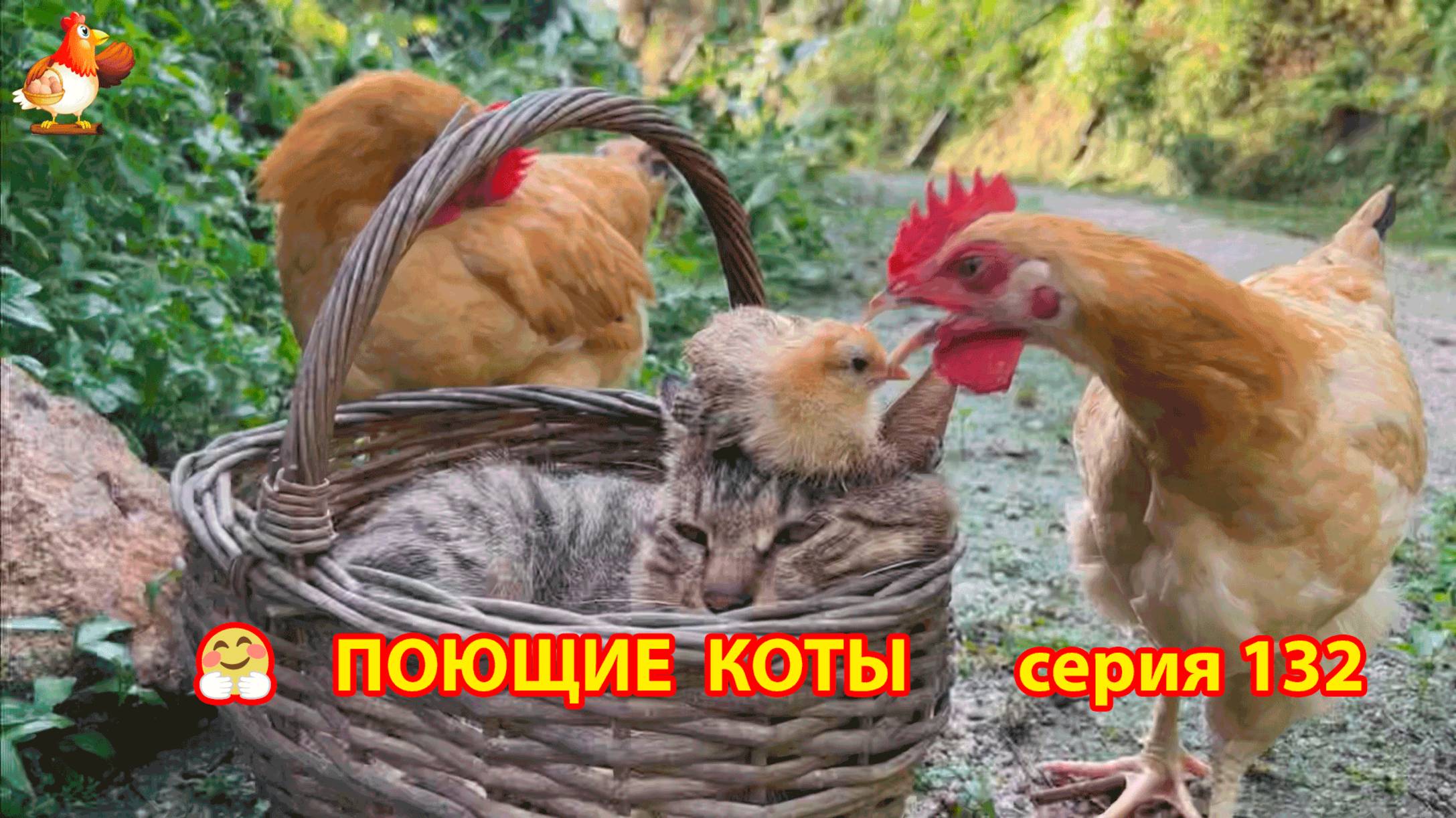 Крутые коты у птичьего двора серия (132) 🐈🐈⬛😹 Природа Абхазии и подворье с птицами и животными ❣