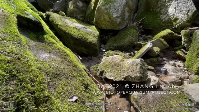 Xiang River, Xi'an, Shaanxi, China. #BAC2021 © Zhang Lixian