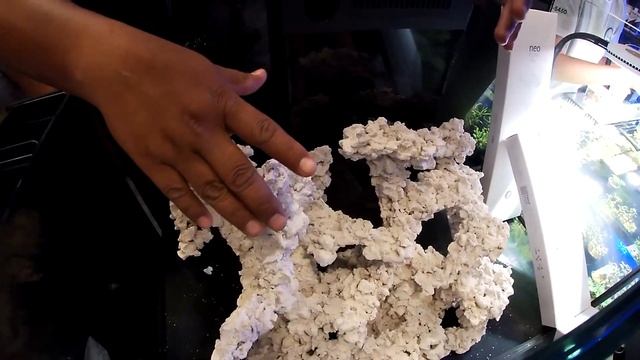 venta de peces experiencia acuática 2022
