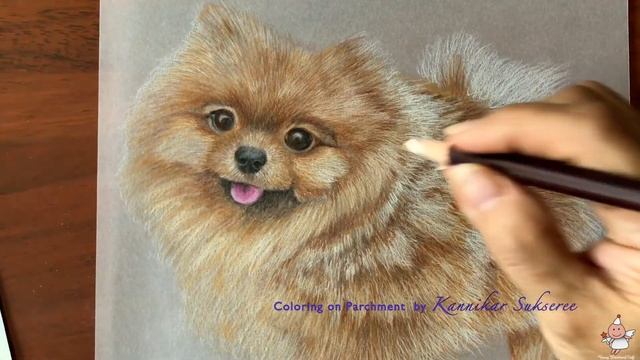 Kanny's Coloring on Parchment Homer the Pom