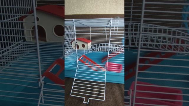 клетка для сирийского хомяка .mp4