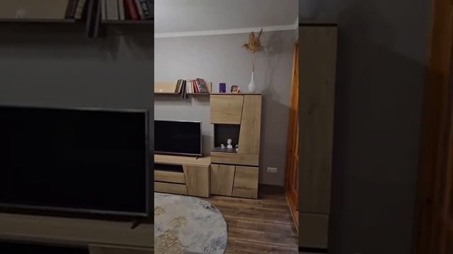 VID-20250215-WA0013.mp4