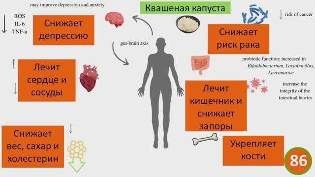 Если квасили капусту неправильно! Этот рецепт превратит ее в лекарство