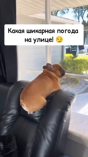 1000073747.mp4