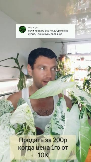 #ответпользователю #юморцветовода