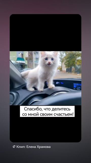 А я всё люблю тебя...