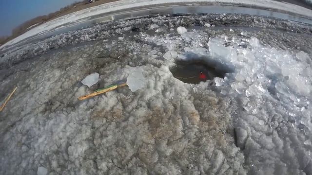 Эти хапуги ловят и ловят, рыбалка на хлопок, рыбка есть! 👇