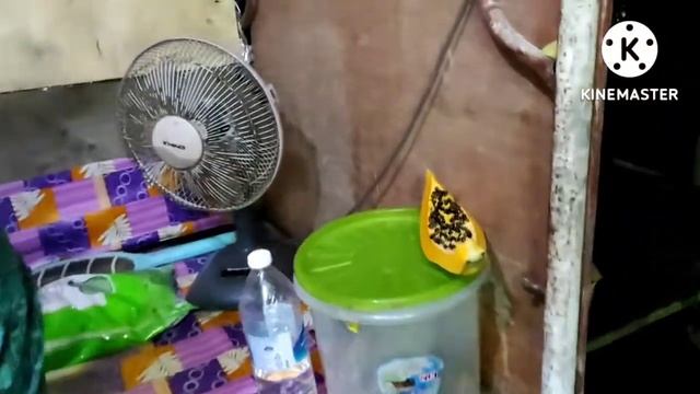 cara masak ikan selar versi TKI di Malaysia#putrakembarchanel#ikanselar