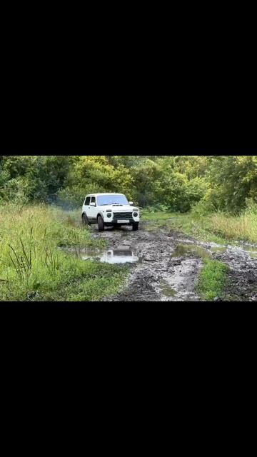 scene_output.mp4