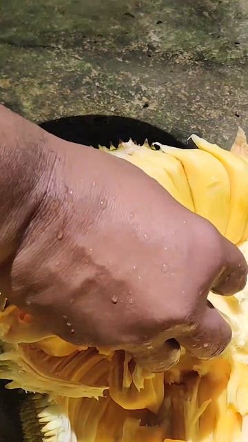 Jackfruit + Salt + Pepper