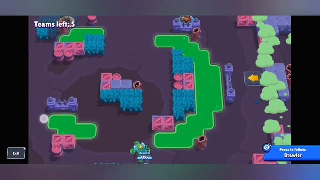 Апаю ворона на 600 кубчей