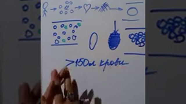 О почках.Большинсво этого не знают