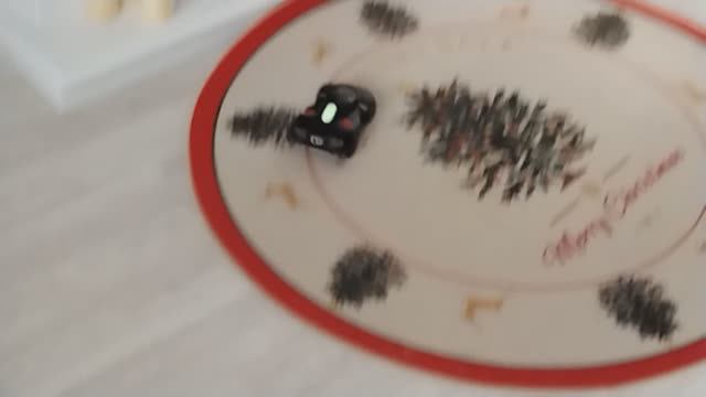 REV car fights and asserts dominance