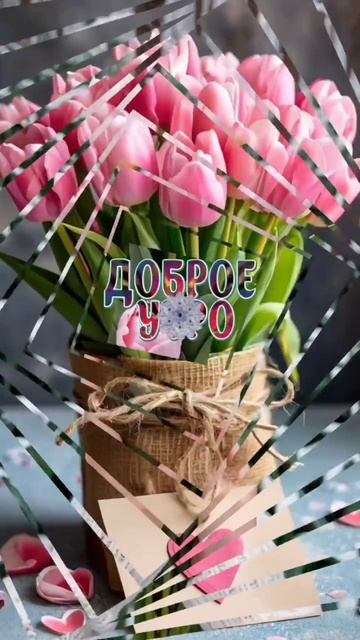 15-02-2025 доброе утро