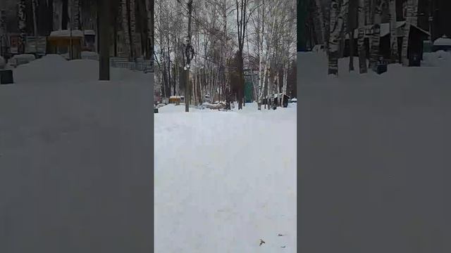VID-20250215-WA0050