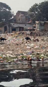 Шок! Ребенок копается в Грязи Бангладеш #shortsvideo #automobile #share #travel #food #шок