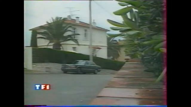 CANNES 93  2..STALLONE