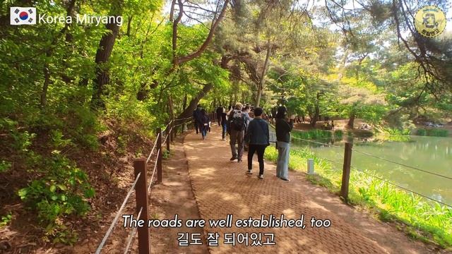 이팝나무가 아름다운곳 밀양위양지 | 위양못 | 경남 가볼만한 곳 | 부산 창원 근교 여행지 | 밀양 가볼만한곳 | 드라이브 코스 추천 | 경남여행지 추천 | 부산 창원 근교 여행