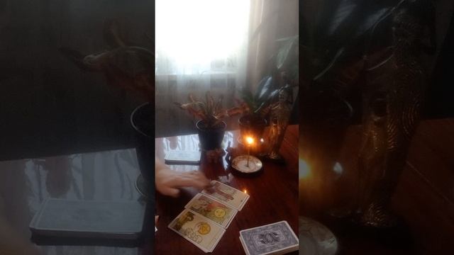 Таро.Кто или что вас порадует.