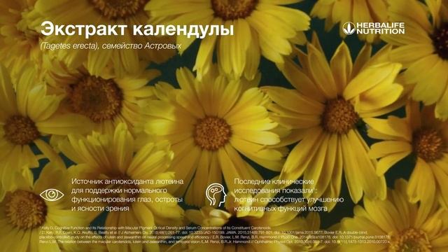 Экстракт календулы