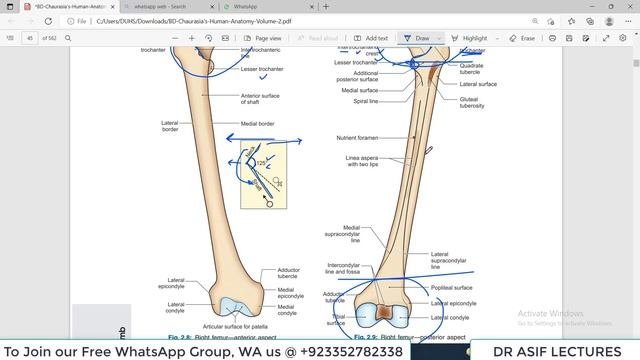 Chp2 | Femur | Lower Limb | BD Chaurasia Regional Anatomy | Dr Asif Lectures