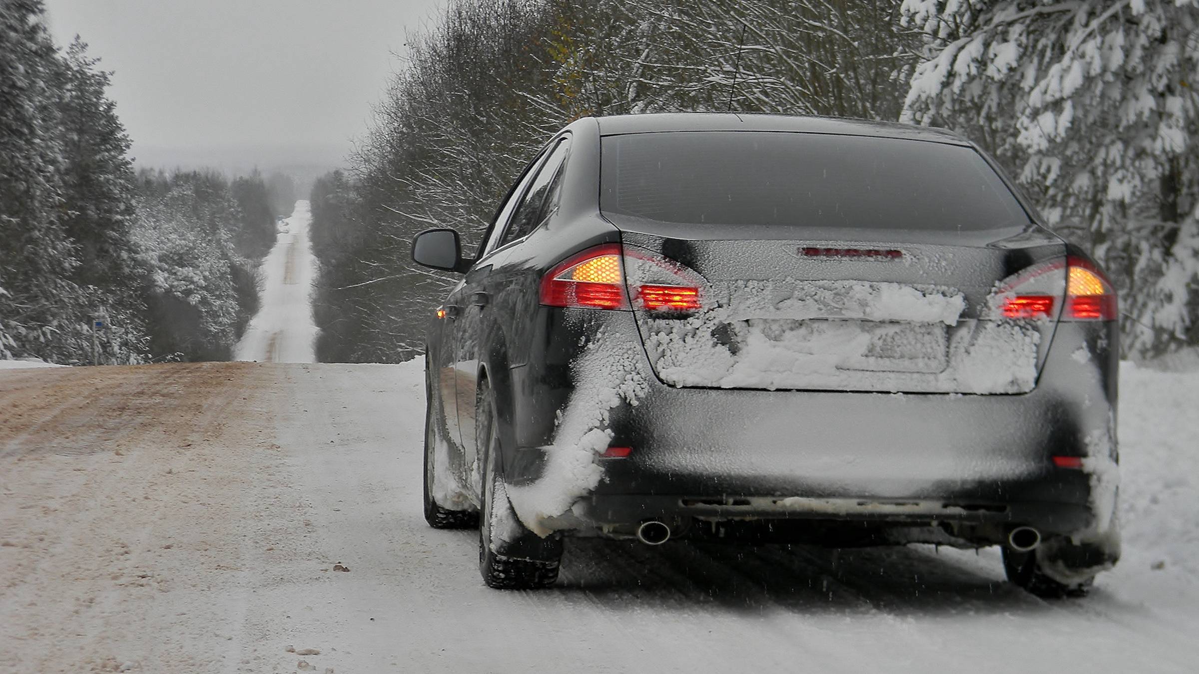 Новоржев Бардово (Архив 2016 год.)