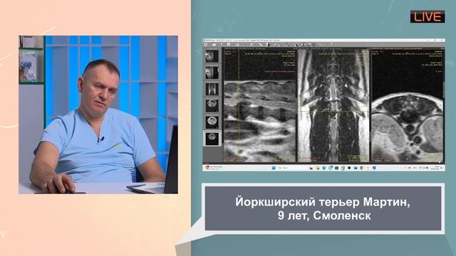 Болезнь дисков как лечить у собак рентген не делай