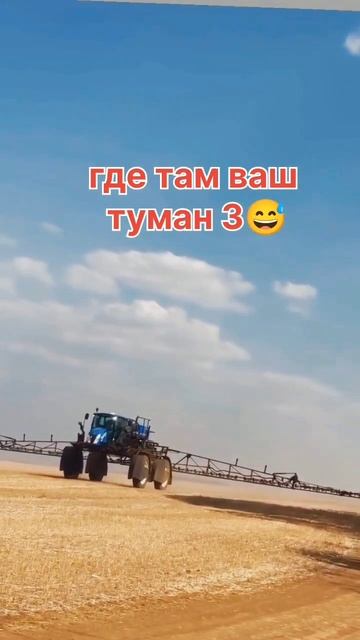 где там ваш туман 3😅