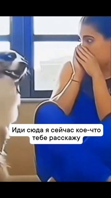 Да что ты говоришь, что правда?!.mp4