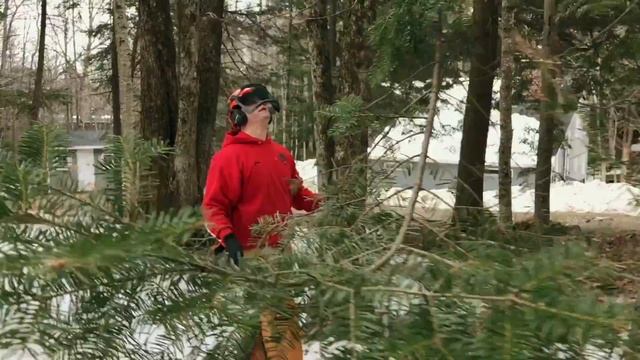 Black Diamond Tree Service, Inc