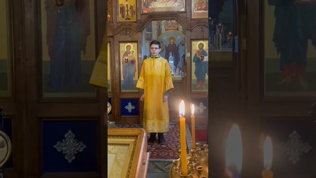 VID_20250203222946
