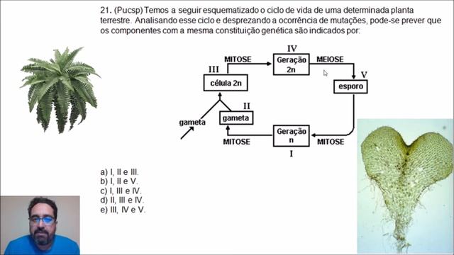 QUESTÕES SOBRE ALGAS E CICLOS DE VIDA