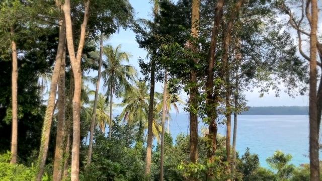 Beach trip to SONEVA THAILAND! 💦 Clearest water, private jet, Zip line Brunch, Eco-friendly resort
