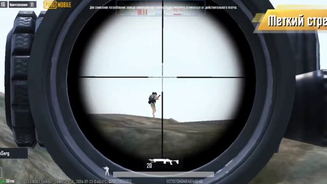5.mp4