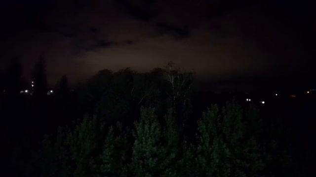 лицо дерева и мурашки по спине